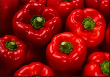 تصویر 4 از فلفل دلمه‌ ای قرمز با ماندگاری بالا و کیفیت مطلوب